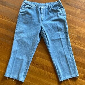 Women's Plus Size Chic Jeans 22W/AVG